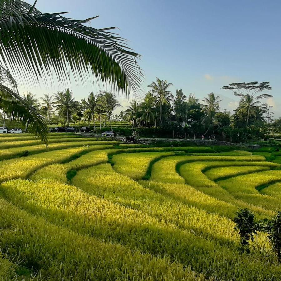 Peraja Bungalows Loyok Sangyang Exteriér fotografie