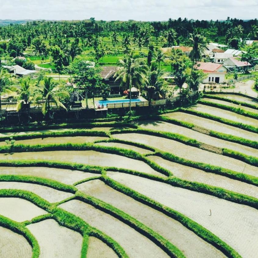 Peraja Bungalows Loyok Sangyang Exteriér fotografie