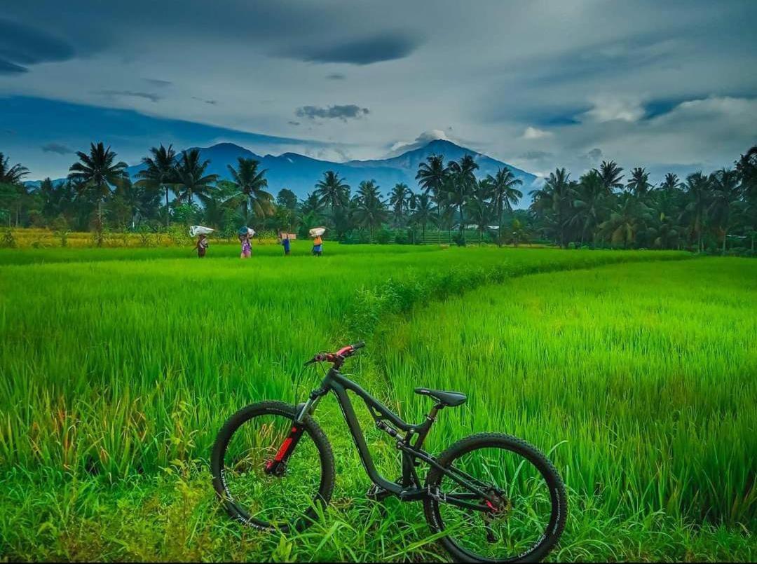 Peraja Bungalows Loyok Sangyang Exteriér fotografie