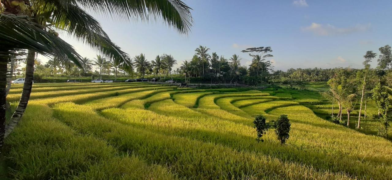 Peraja Bungalows Loyok Sangyang Exteriér fotografie