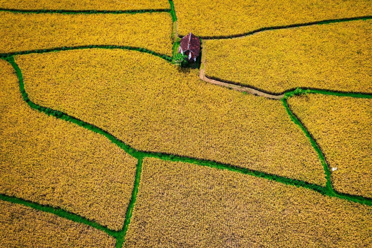 Peraja Bungalows Loyok Sangyang Exteriér fotografie