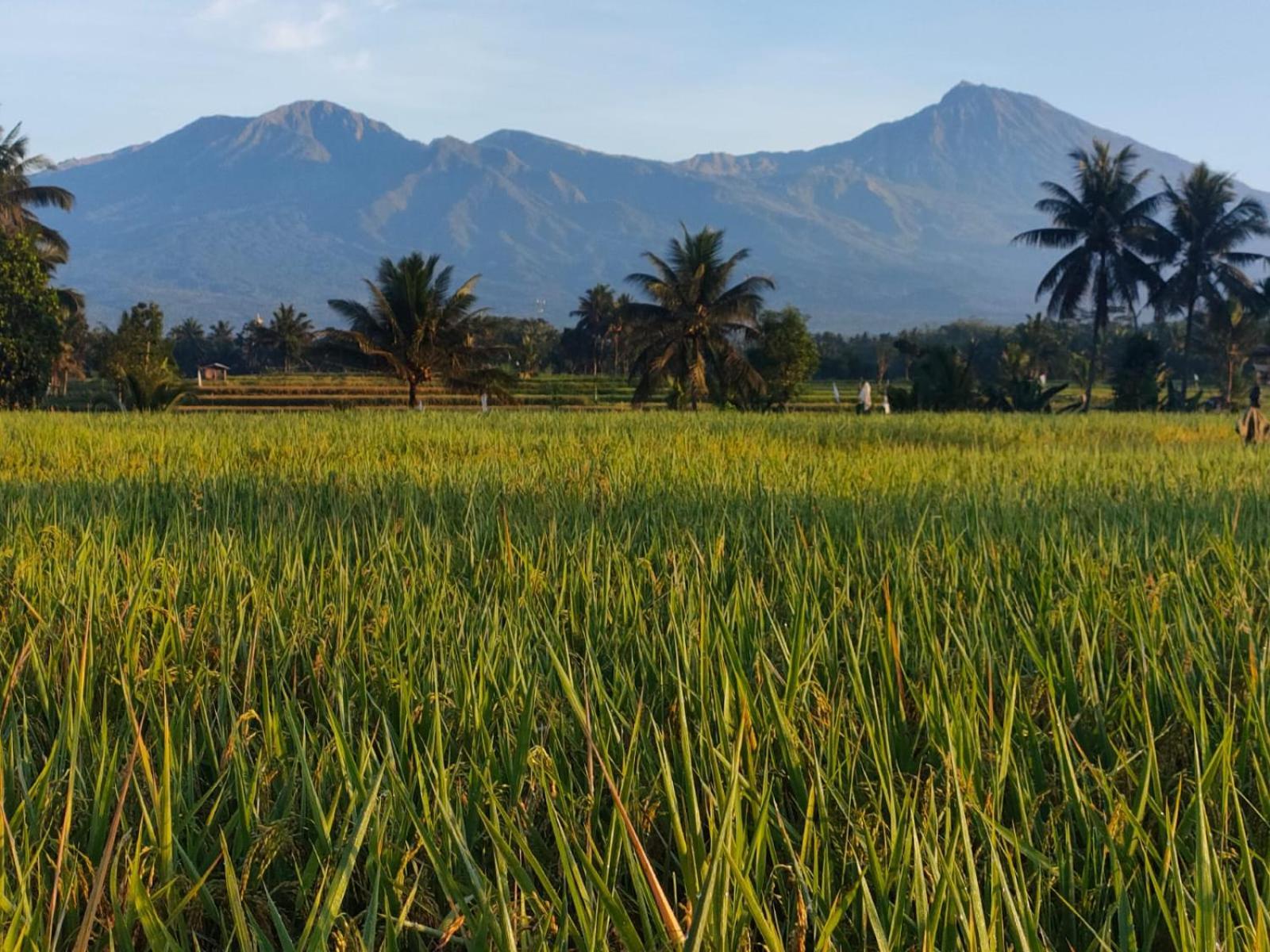 Peraja Bungalows Loyok Sangyang Pokoj fotografie